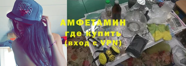 хмурый Аркадак