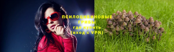кокс Арсеньев
