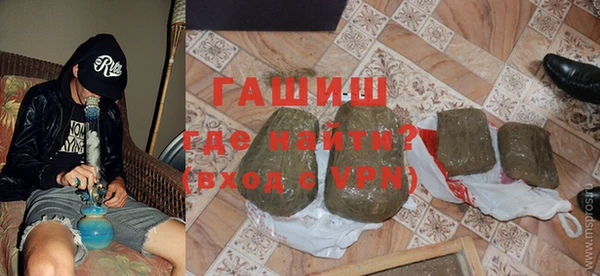 хмурый Аркадак