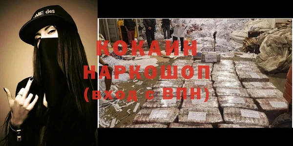 трава Новозыбков