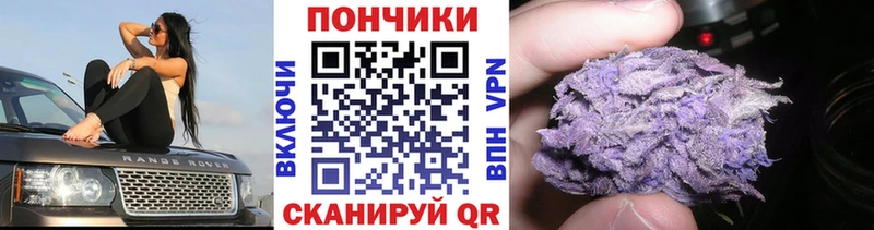 Канабис VHQ  закладки  гидра ССЫЛКА  Тимашёвск 
